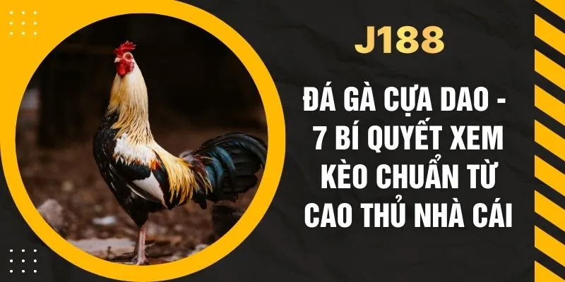 Đá Gà Cựa Dao - 7 Bí Quyết Xem Kèo Chuẩn Từ Cao Thủ Nhà Cái