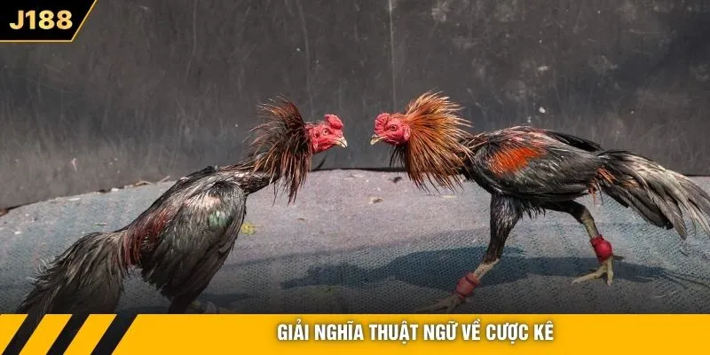 Giải nghĩa thuật ngữ về cược kê