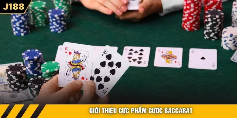 Giới thiệu cực phẩm cược Baccarat