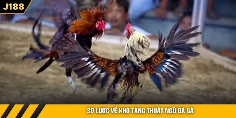 Sơ lược về kho tàng thuật ngữ đá gà