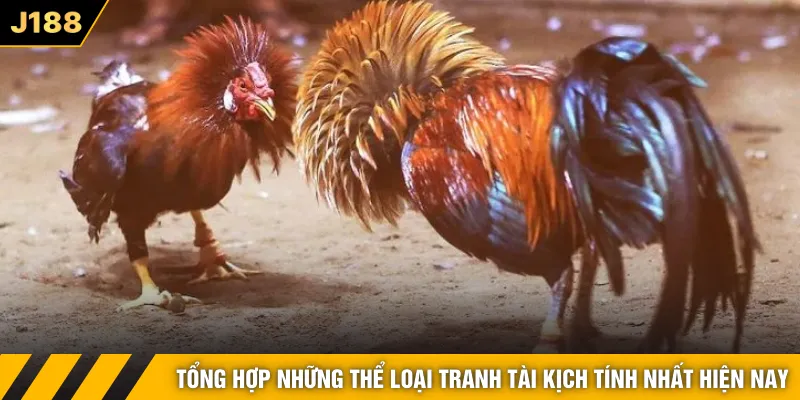 Tổng hợp những thể loại tranh tài kịch tính nhất hiện nay